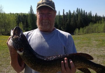 Big Northern Pike