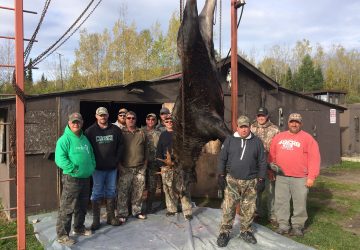 Group Of People With Huge Moose