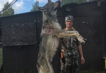 Hunter With Hunted Wolf