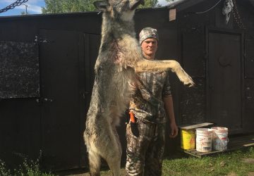 Hunter With Large Timber Wolf