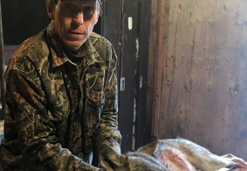 Man Holding Hunted Timber Wolf