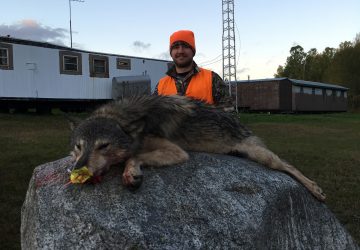 Man Smiling With Timber Wolf