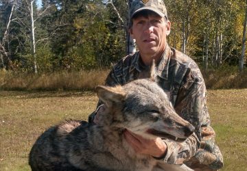Man With Hunted Timber Wolf