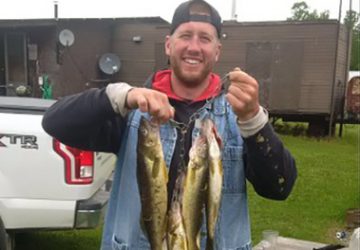 Man With Stringer Of Walleye