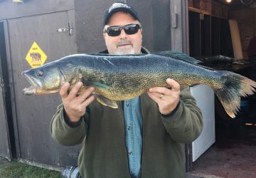 Trophy Walleye