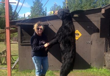 Woman With Hunted Bear Hung On Chains